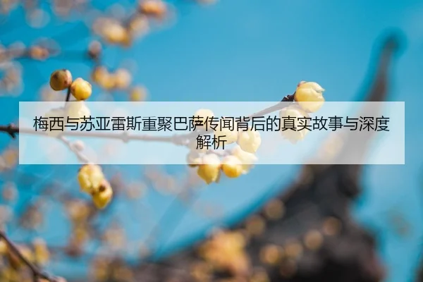 mei-xi-yu-su-ya-lei-si-chong-ju-ba-sa-chuan-wen-bei-hou-de-zhen-shi-gu-shi-yu-shen-du-jie-xi-2-661.jpg